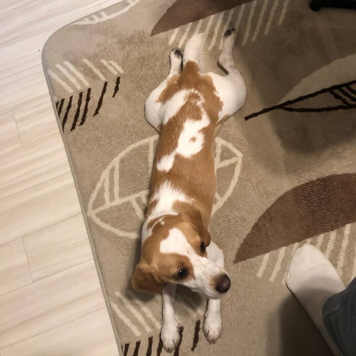 326257a5 27a1 4b08 9ea2 66793a623f5c 1557940749066