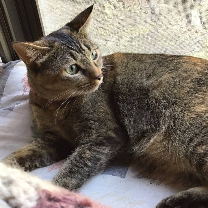 326274d4 abe1 45e3 88eb a0006dfd2b3b 1633671388448