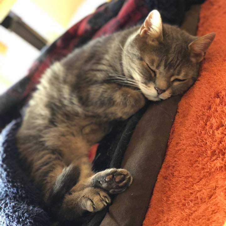 32627cdf 4f51 406d baf6 678658e9094c 1524467742521