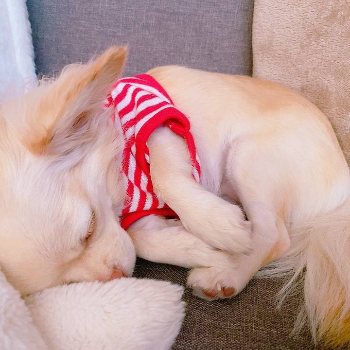 3262a564 2583 45b8 a4c2 f8d4bdac606a 1633930379753