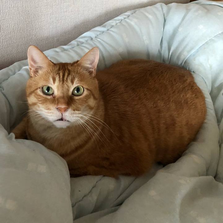 32631afb 9871 468c 9fb5 ed4be1e88e8f 1649844031769