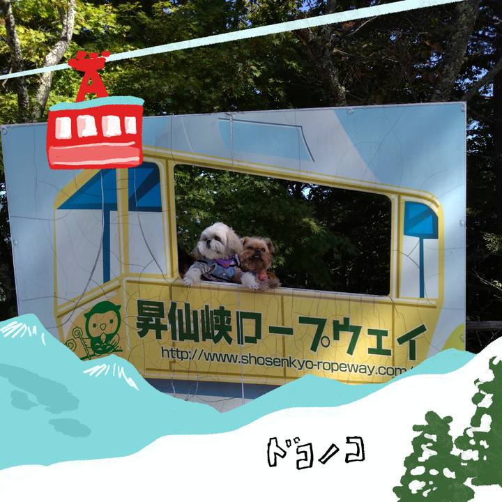 326380bf 9679 42f2 9201 0ef0e0800e39 1706937827412