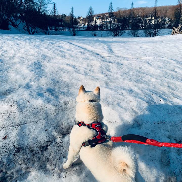 3263922d 8b42 4dee 85ac 3ccea5ee80c9 1679355182224