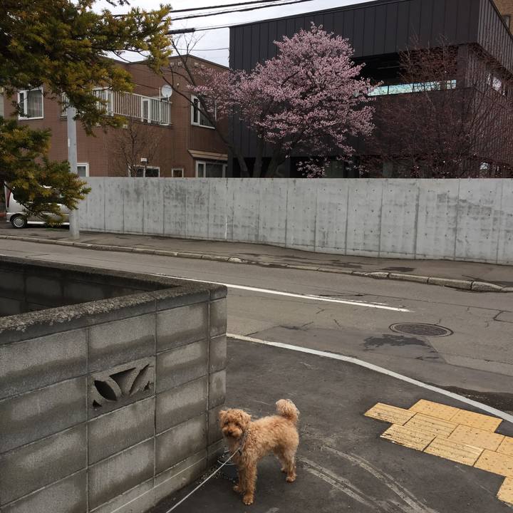 3263bcf5 057c 4d77 bcab eddf00e6d61a 1524695244752