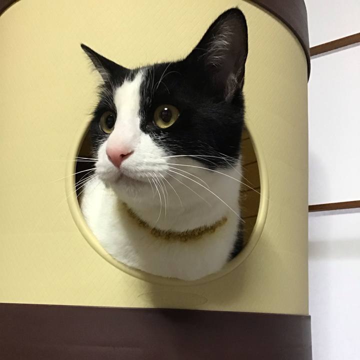 3263d03a b94a 4f0b a14a 2e6bea9cf49e 1648971555218