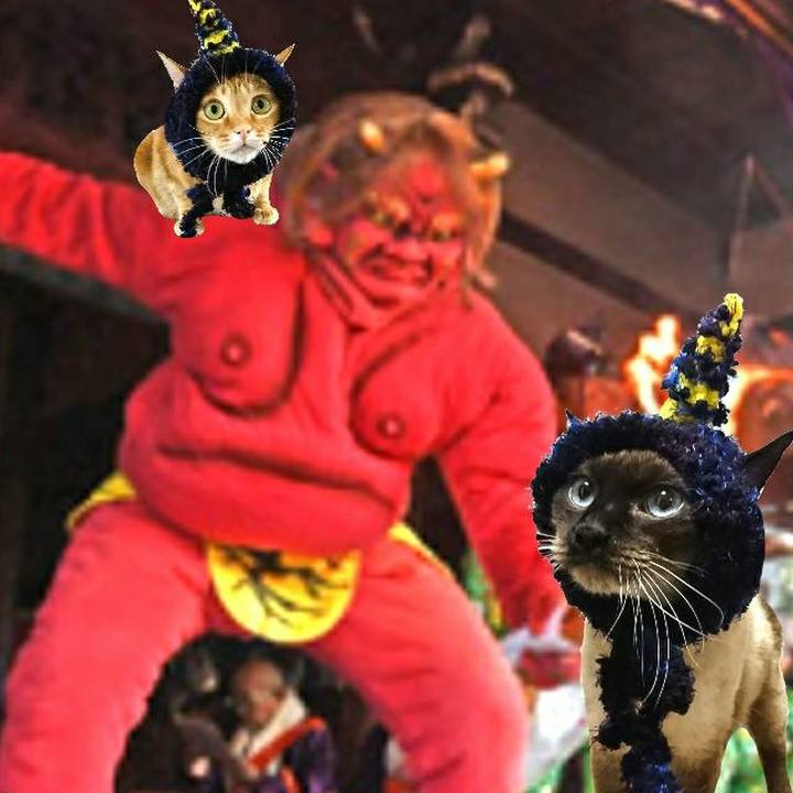 3263e71d 415a 4147 ac50 232f59c6eda2 1549108059444