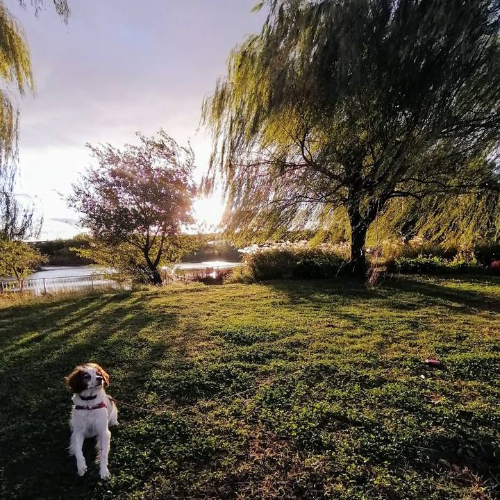 326446c6 8e51 4b7e bcd4 ba4e89b9821a 1634723805878