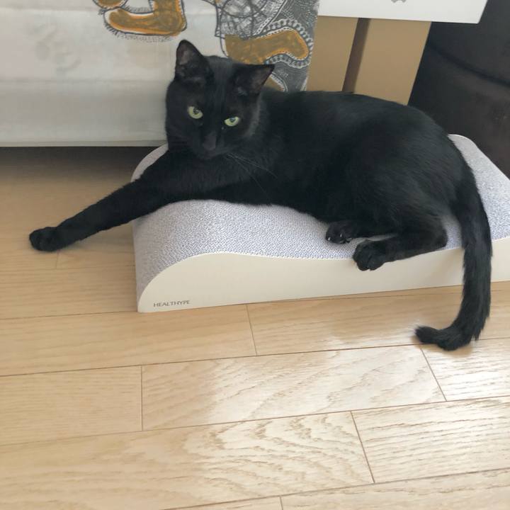 32647e65 e6bb 481c 9b18 81ce568814cd 1612662866563