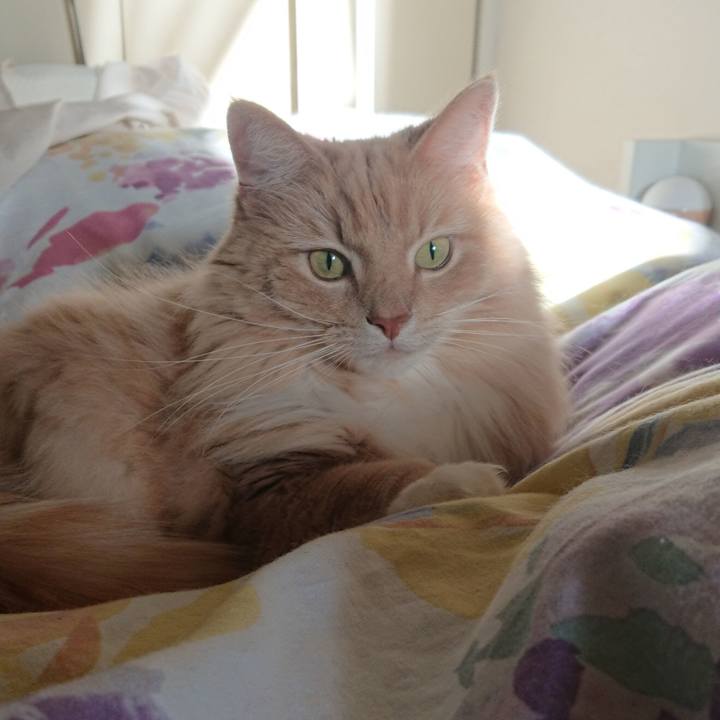 32649f50 d152 4654 8a74 63eb6f52a7c3 1582353144410