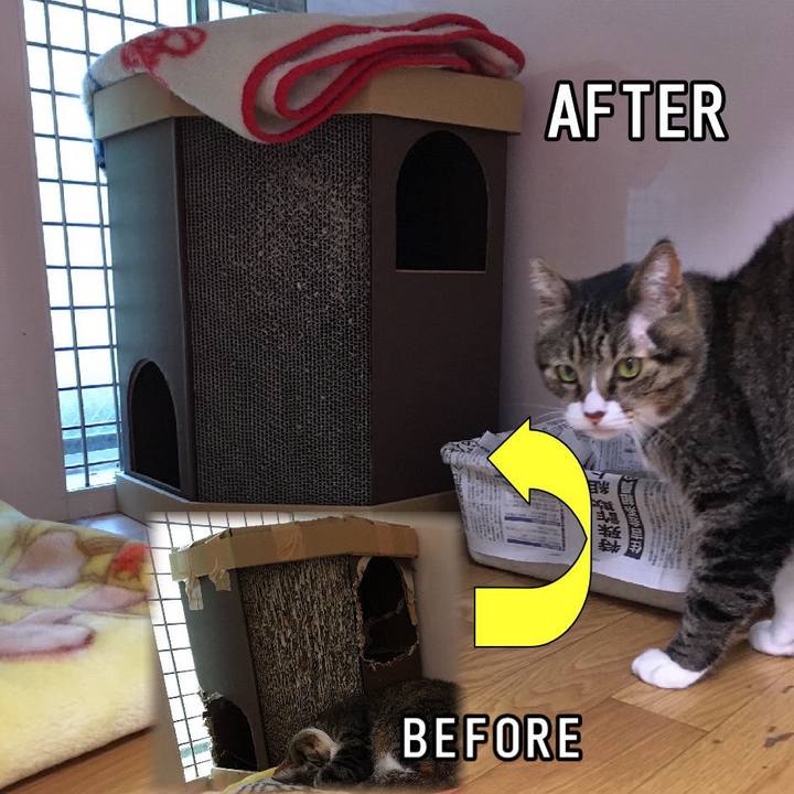 3264b2b5 bc91 4b47 8c45 46f9dd3f18cc 1560936012300