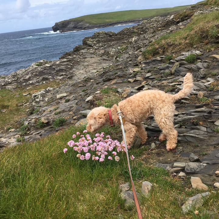 3264dbeb 2938 4663 98e1 16e57b744b81 1559595846311