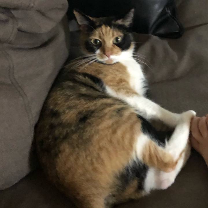 32653c7b 82d3 45ad 951c ecdcc46706ca 1565353399238