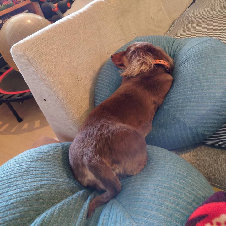 32654069 d5b4 48c8 89a2 2791d34dbe69 1616033879779