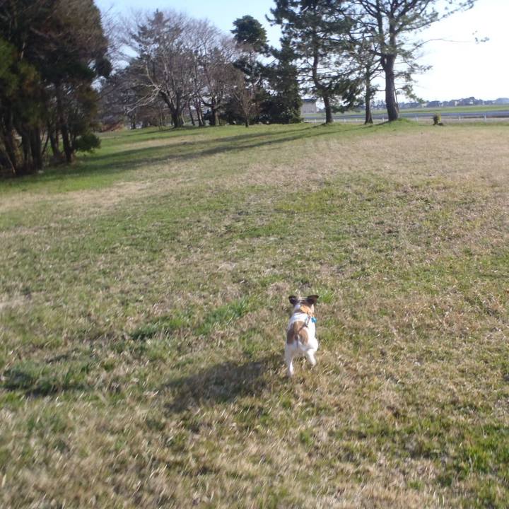 326549dd 2856 43af b029 141327be130e 1524046501051