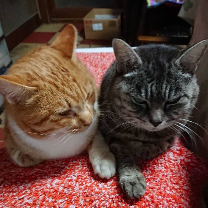 32658a34 7f74 4990 8098 71b17dce11c6 1608068020780