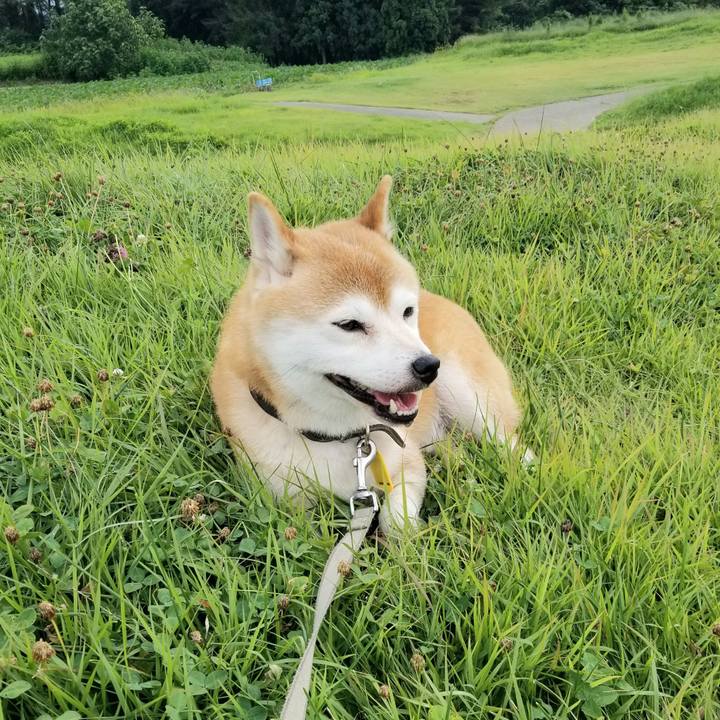 32658f2e 06b8 4e6d 8b54 642e32d3f7ab 1629101103593