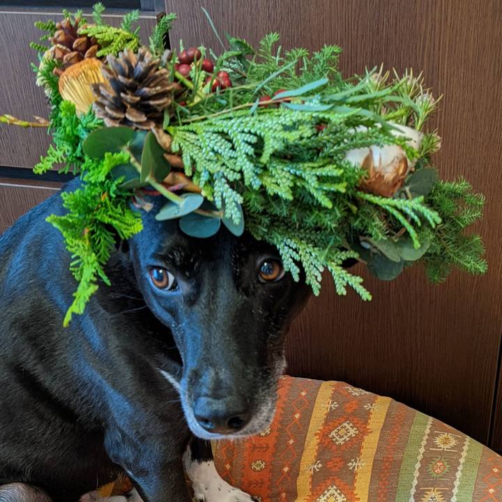 3265a8e1 415b 4e4d ac25 8f85a79c2cbe 1669286967043