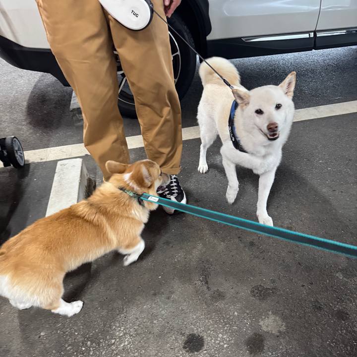 3265aa41 e767 475f a3b3 b1f4d2ca5af2 1758771141461