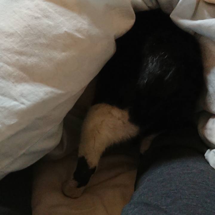 3265d6b8 266e 4c1d b0ba c1666e7bb354 1675725798820