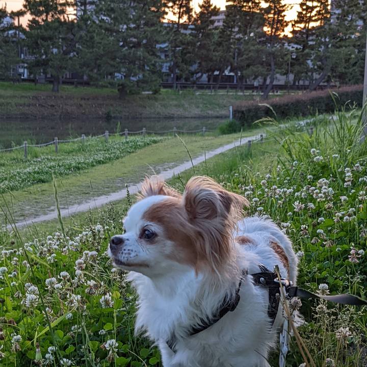 3265e906 2e6c 4094 bc1e ee57e820ffdd 1653817193505