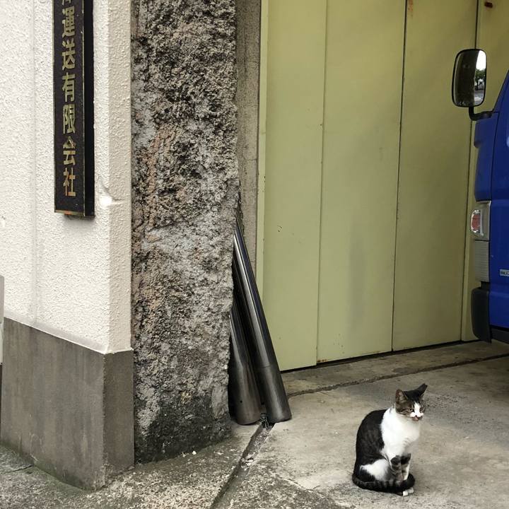 32661f28 4999 489f a69f 5d5cd176d406 1536838648744