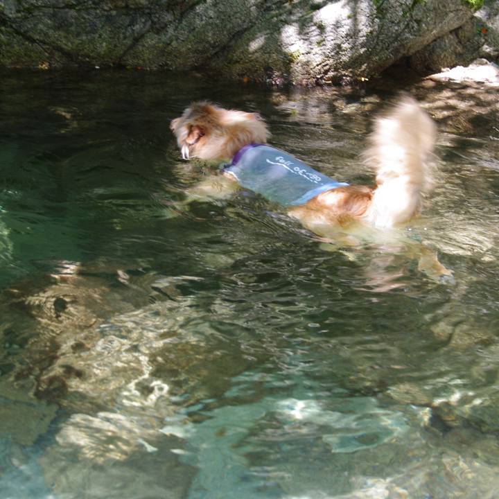 32663c19 50bb 4672 813b fa665af9b6b8 1657508826505