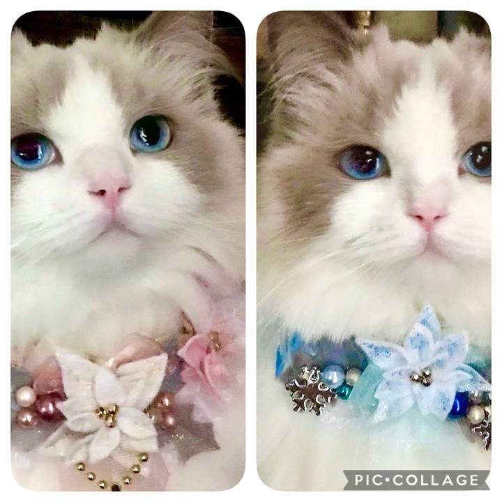 32663d0f 66cd 4741 9452 df2f8c132038 1638850189464