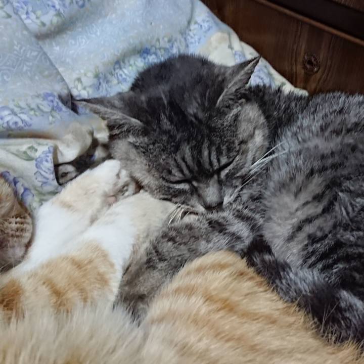 326656ac 4612 4a12 af61 6f6af8ed00bf 1582203310898