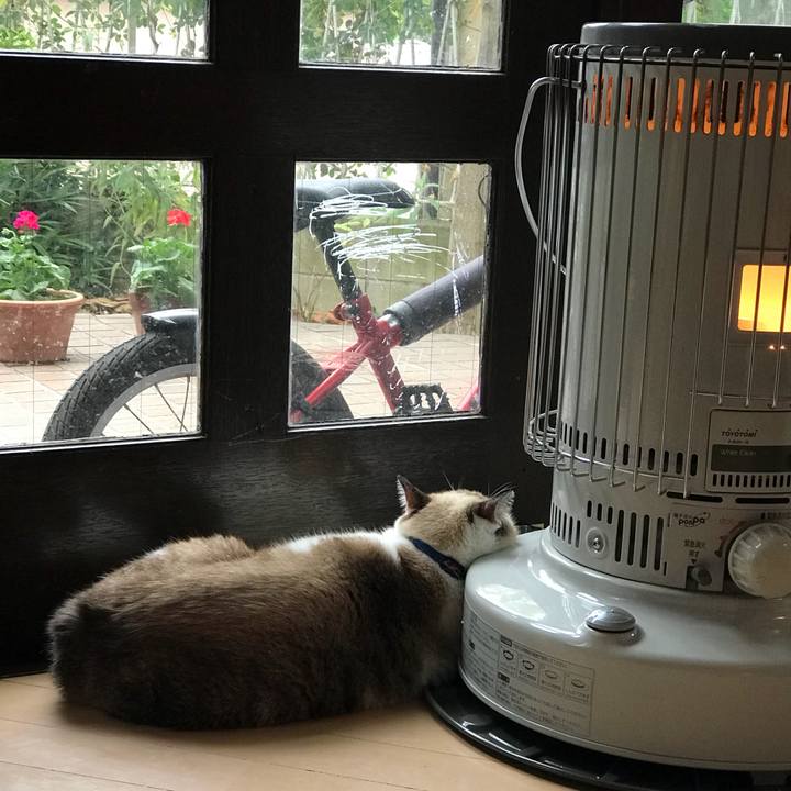 32669432 a8b7 45a5 b9b5 466417302e07 1511132200104