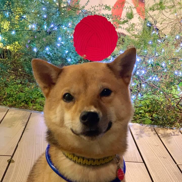 32671305 2409 4108 9c1c 4f627ca47143 1605615328701