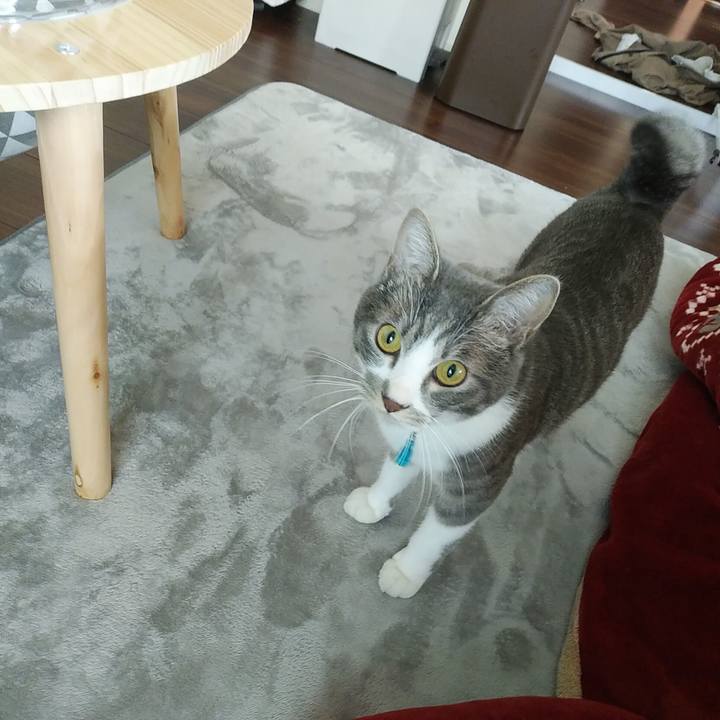 32673d8b 3c7b 48cf 95c4 8a36cd640afa 1586474044611