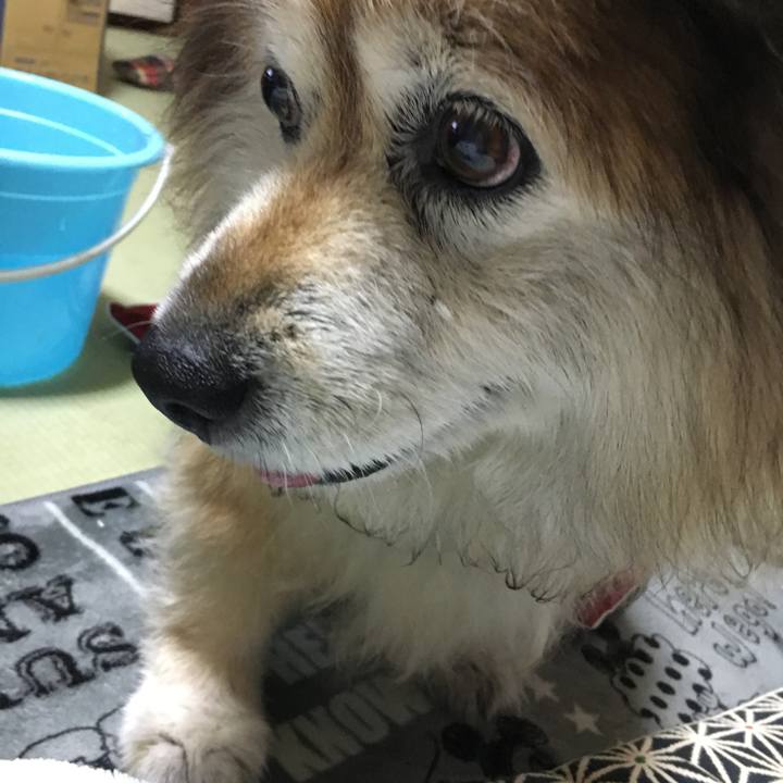 32675147 272d 41f2 83a8 bf5fa2d159db 1608360740319