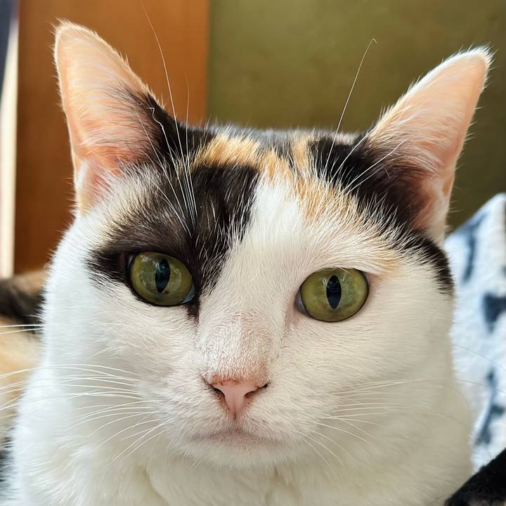 326753f1 d518 41be b5d5 2bdfb5137d4d 1665454005096