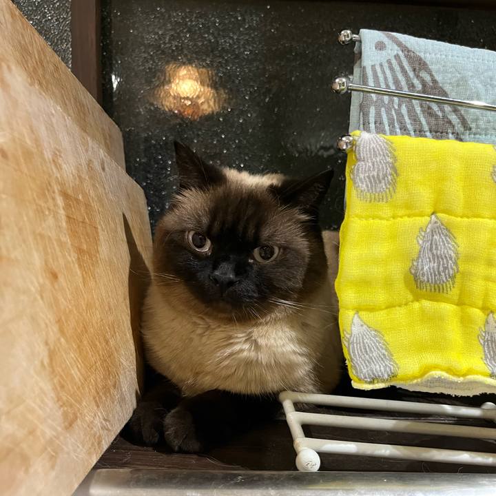 3267ac09 b4ed 4d21 85cc 4713c01e1056 1686567762861