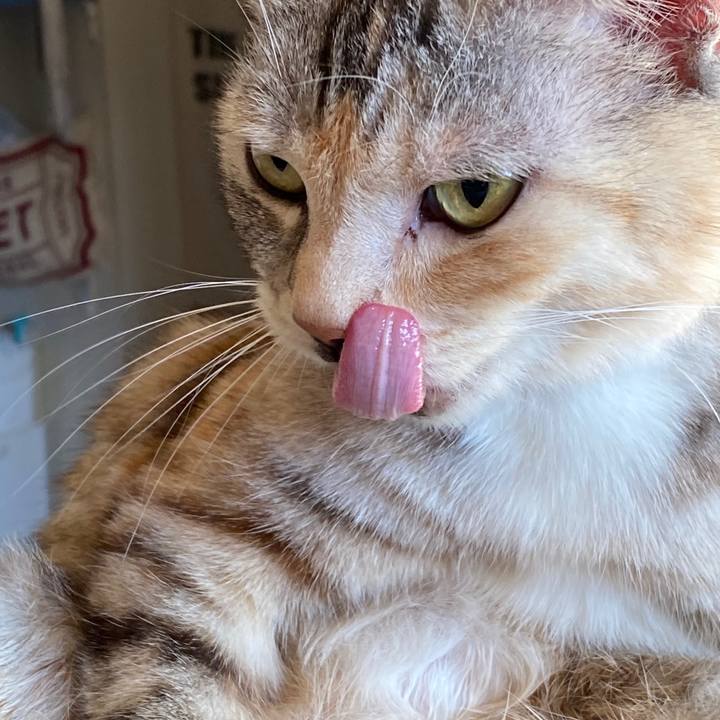 3267d0b9 9b37 4523 b1f1 f4954ef4c9ae 1604584165911