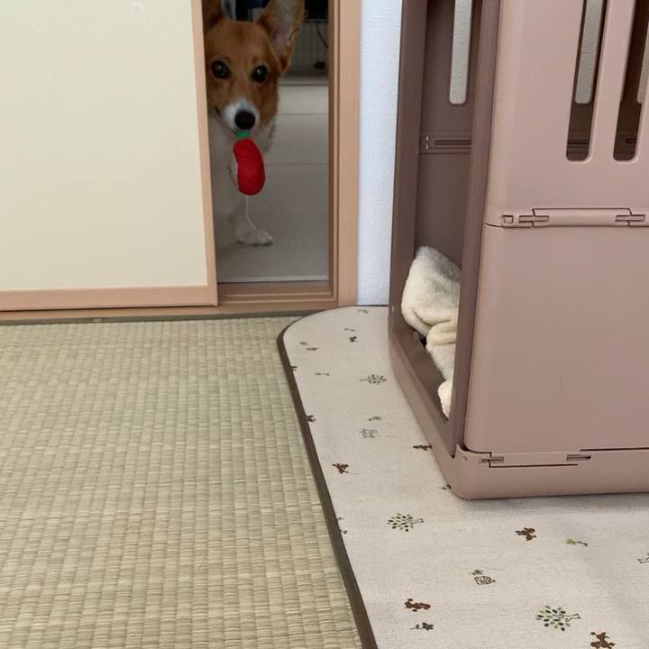 32680988 b44c 4306 ba8c 5b1a13397070 1663900728725