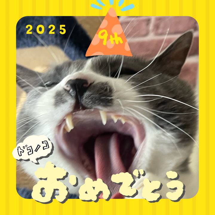 32680e10 58e5 4aa2 9645 e5321fc95126 1749141735872