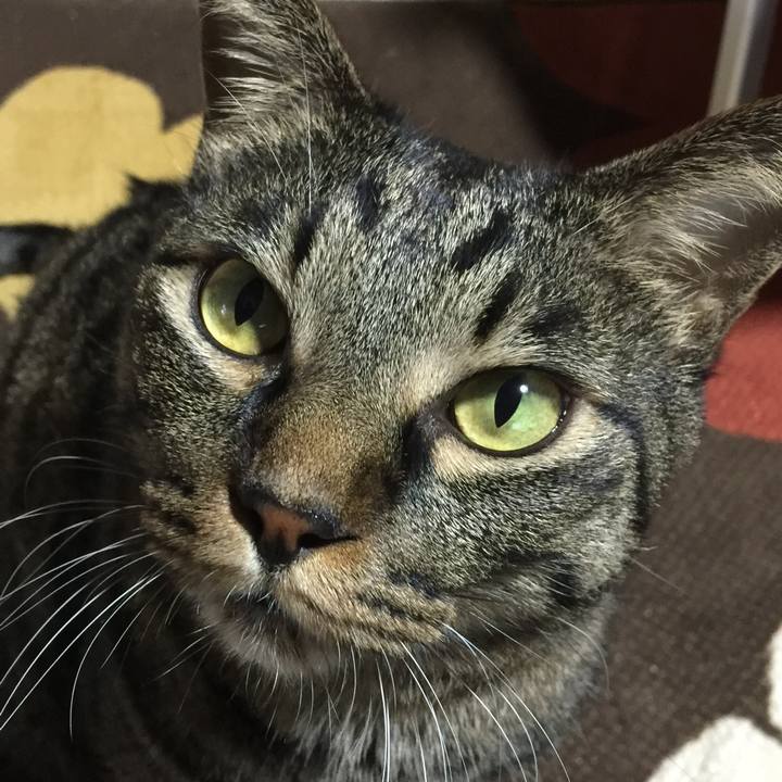 326822aa 5a0e 4e60 8a1d 61807efa5719 1666961730073