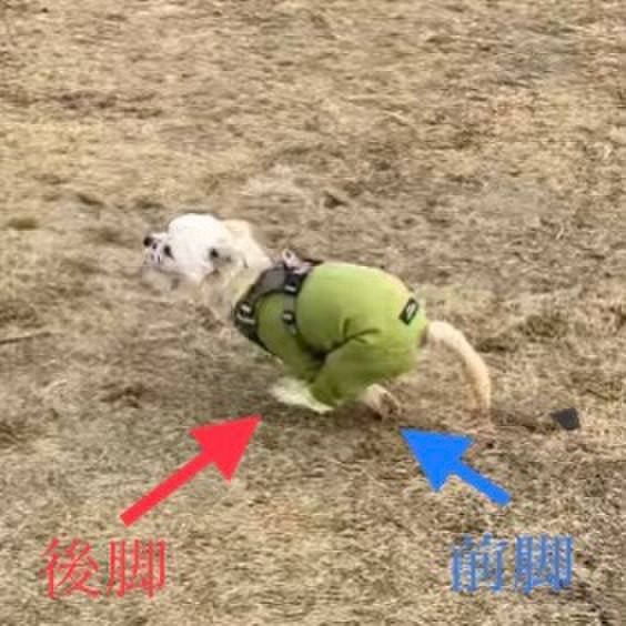 32685f0b 7e52 426c 8cd6 aa2c8b5bfb17 1643117864272