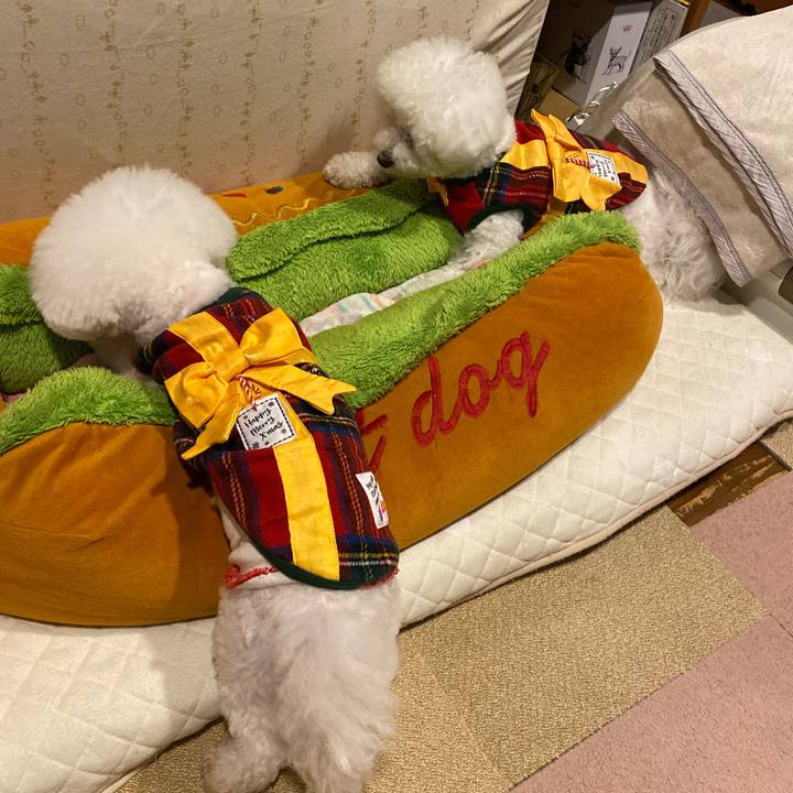 32686ae7 c4ce 42db 8ee5 489c82023c9c 1766562151161