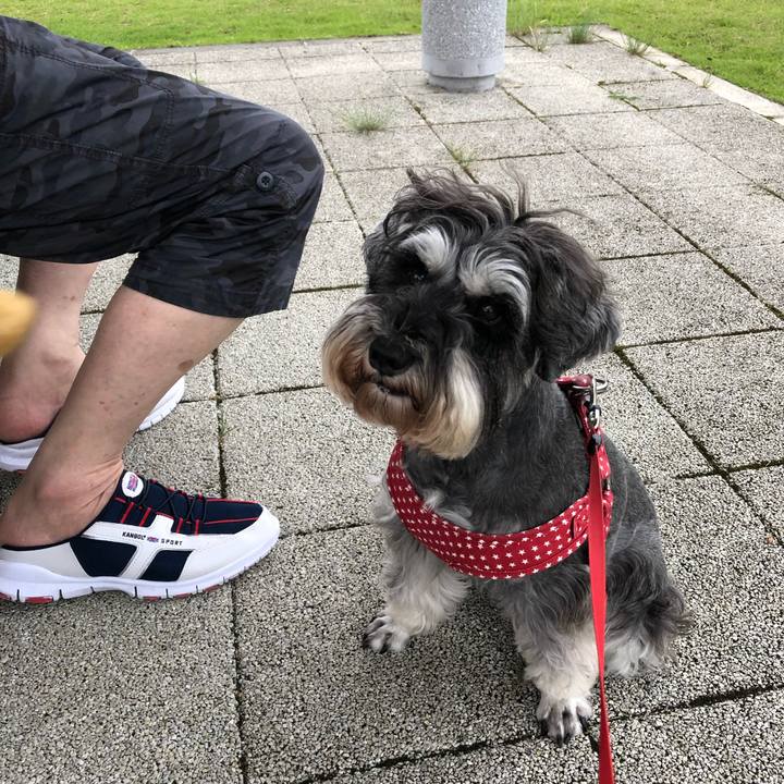 326879a2 4729 4fe4 84db 8e543ff414f9 1562332607129