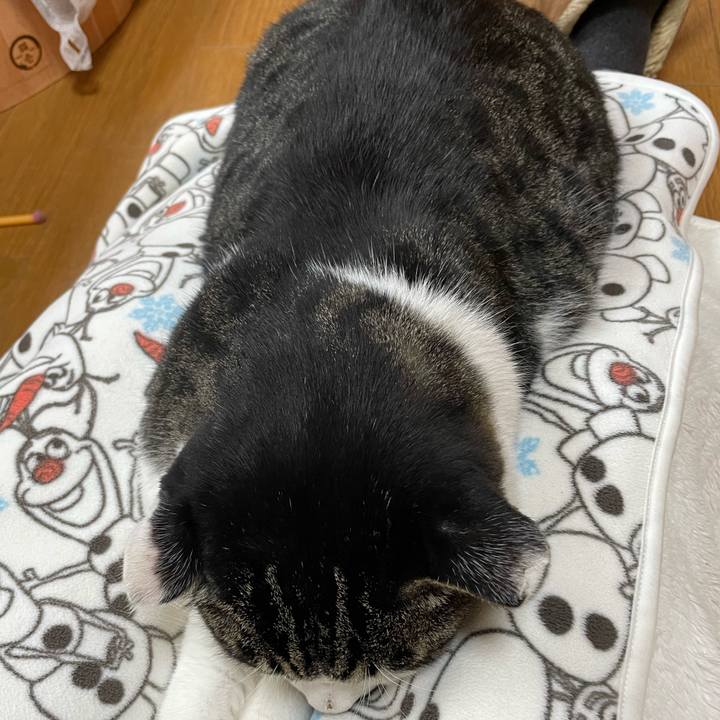 32688092 d44c 4c11 9177 72084551fbbf 1675405380139