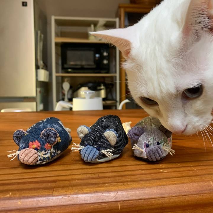 326883e0 e34a 476c b5f2 bb5429912d3f 1659179479451