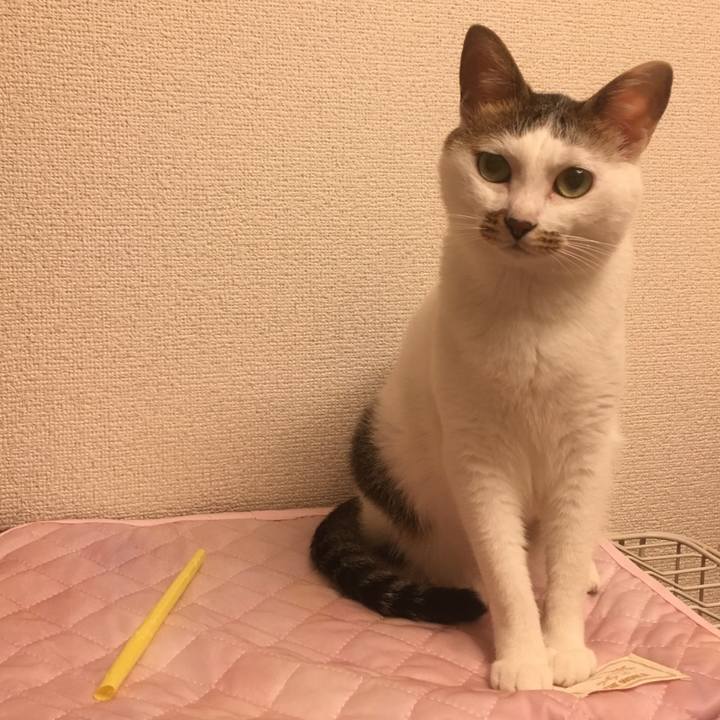 3269990b c52f 48cf 9ccc 02846ff40cae 1567261804602