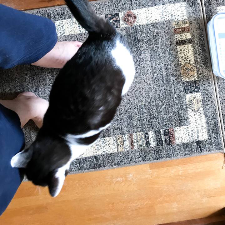 32699944 83dd 4a0a b901 def9cdbb32cb 1529892582893