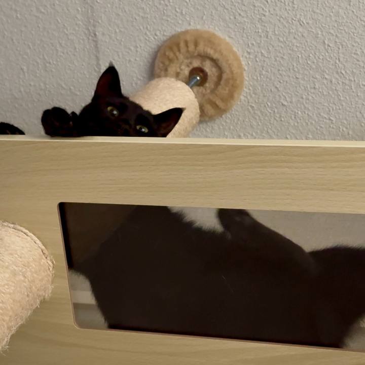 3269dd29 7acb 4d1c 8326 1c1302b8ad73 1758422938175