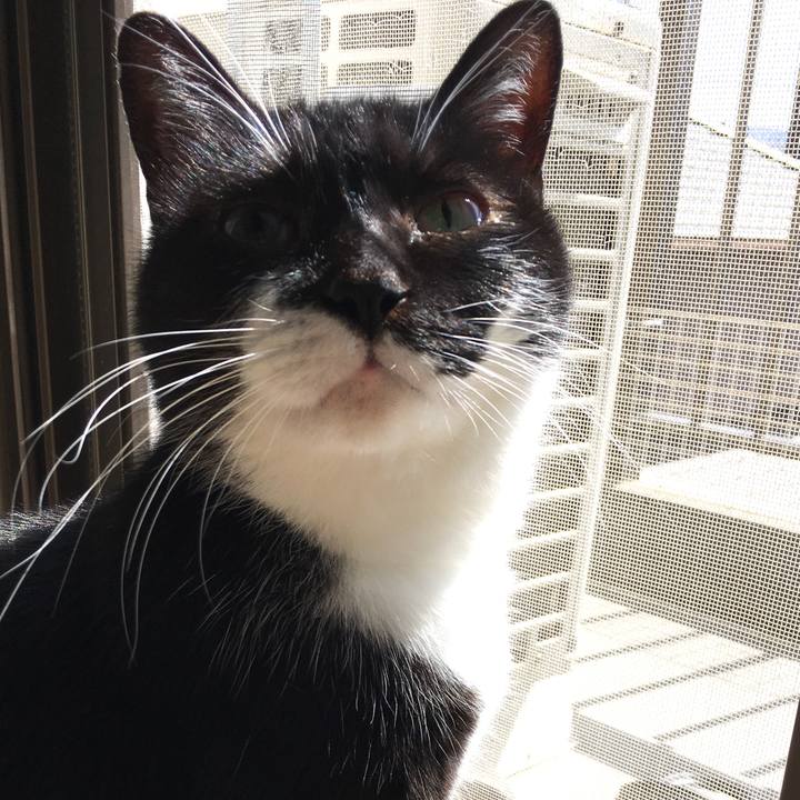 3269e0c1 10fd 48f9 a9c4 0378adf207fb 1584793473926