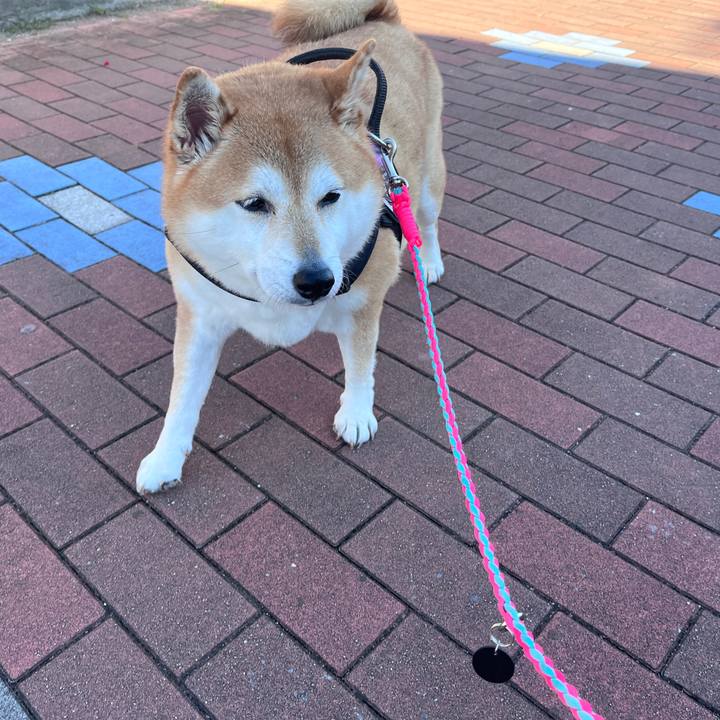 326a07b4 13d1 49f0 b401 f3d213e84b9d 1700447201773