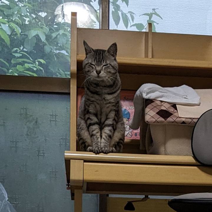 326a198f 2a58 4441 a8f4 10f52921d75d 1718097626662