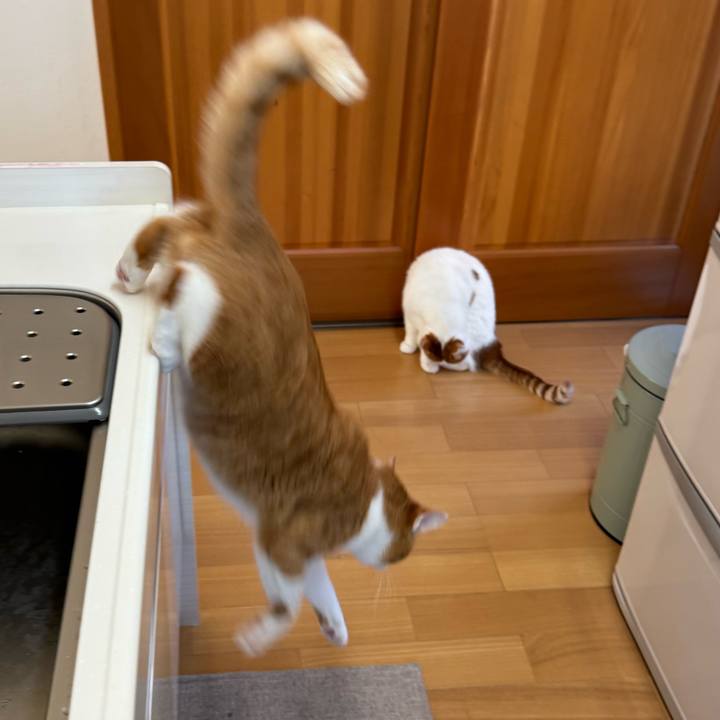 326a28dd 9935 4f1b 85cb b2038baa3bf8 1764814923102